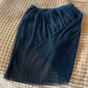 BCBG skirt with elastic waistband
